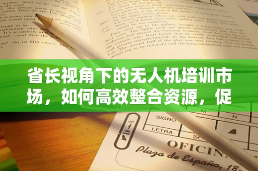 省长视角下的无人机培训市场，如何高效整合资源，促进地方经济发展？