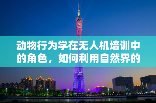 动物行为学在无人机培训中的角色，如何利用自然界的智慧提升飞行安全？