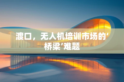 渡口，无人机培训市场的‘桥梁’难题