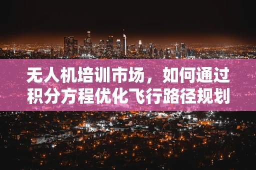 无人机培训市场，如何通过积分方程优化飞行路径规划？