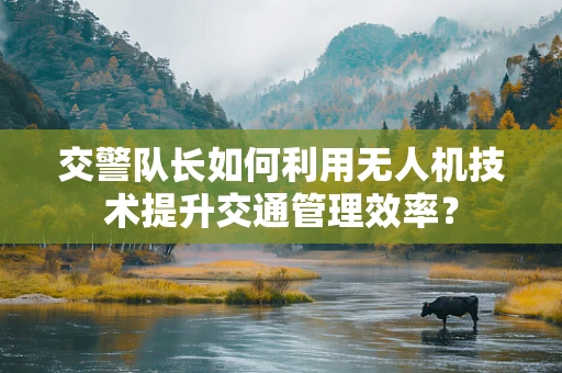 交警队长如何利用无人机技术提升交通管理效率？