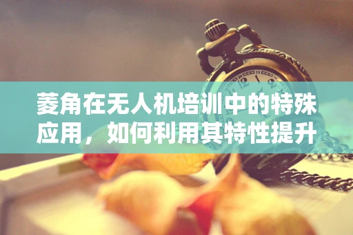 菱角在无人机培训中的特殊应用，如何利用其特性提升飞行安全？