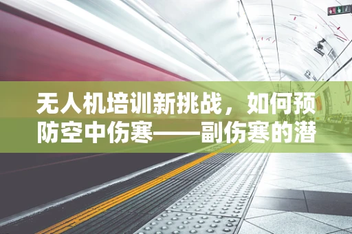 无人机培训新挑战，如何预防空中伤寒——副伤寒的潜在威胁？
