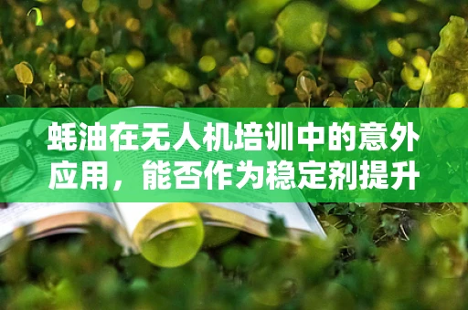 蚝油在无人机培训中的意外应用，能否作为稳定剂提升飞行性能？