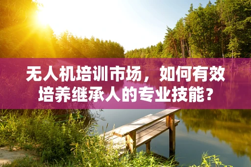无人机培训市场，如何有效培养继承人的专业技能？