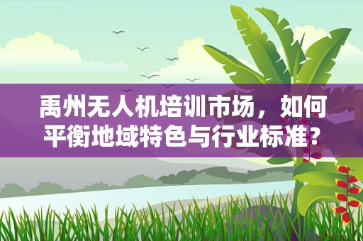 禹州无人机培训市场，如何平衡地域特色与行业标准？