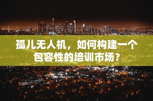 孤儿无人机，如何构建一个包容性的培训市场？
