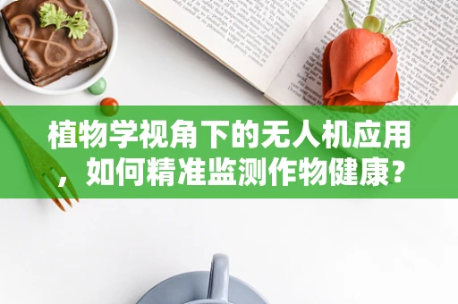 植物学视角下的无人机应用，如何精准监测作物健康？