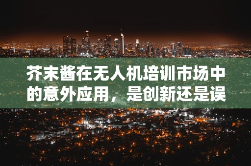 芥末酱在无人机培训市场中的意外应用，是创新还是误用？