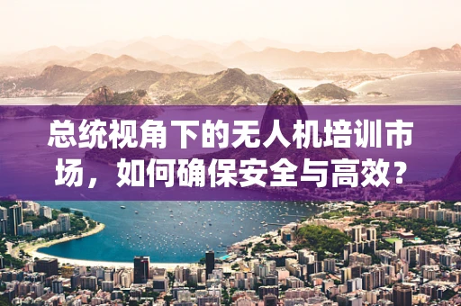 总统视角下的无人机培训市场，如何确保安全与高效？