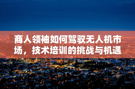 商人领袖如何驾驭无人机市场，技术培训的挑战与机遇？