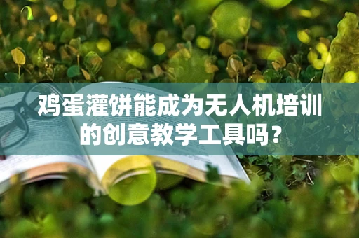 鸡蛋灌饼能成为无人机培训的创意教学工具吗？