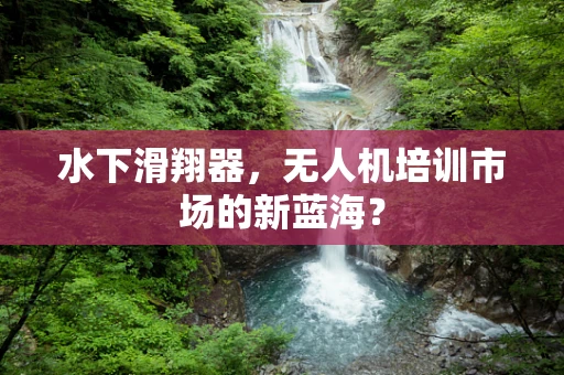 水下滑翔器，无人机培训市场的新蓝海？