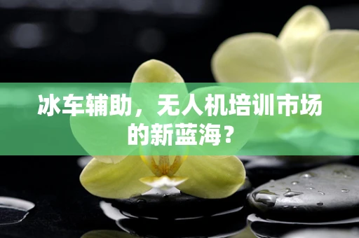 冰车辅助，无人机培训市场的新蓝海？