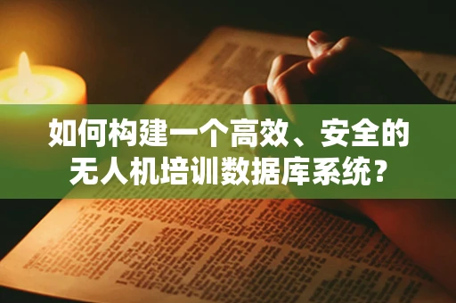如何构建一个高效、安全的无人机培训数据库系统？