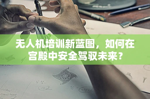 无人机培训新蓝图，如何在宫殿中安全驾驭未来？