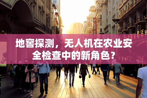 地窖探测，无人机在农业安全检查中的新角色？
