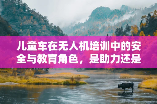 儿童车在无人机培训中的安全与教育角色，是助力还是障碍？