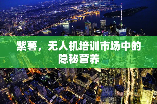 紫薯，无人机培训市场中的隐秘营养