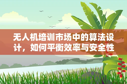 无人机培训市场中的算法设计，如何平衡效率与安全性？