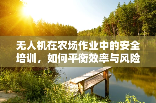 无人机在农场作业中的安全培训，如何平衡效率与风险？