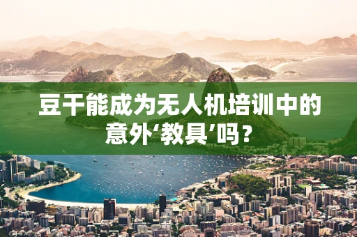 豆干能成为无人机培训中的意外‘教具’吗？