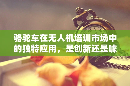 骆驼车在无人机培训市场中的独特应用，是创新还是噱头？