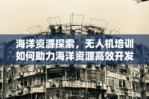 海洋资源探索，无人机培训如何助力海洋资源高效开发？