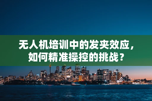 无人机培训中的发夹效应，如何精准操控的挑战？
