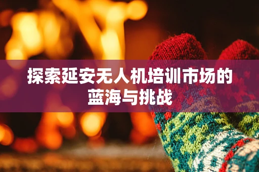 探索延安无人机培训市场的蓝海与挑战