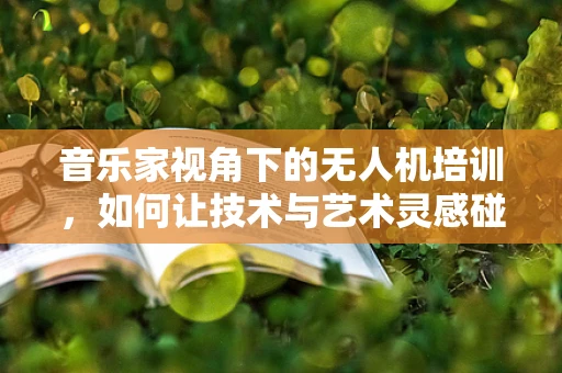 音乐家视角下的无人机培训，如何让技术与艺术灵感碰撞？