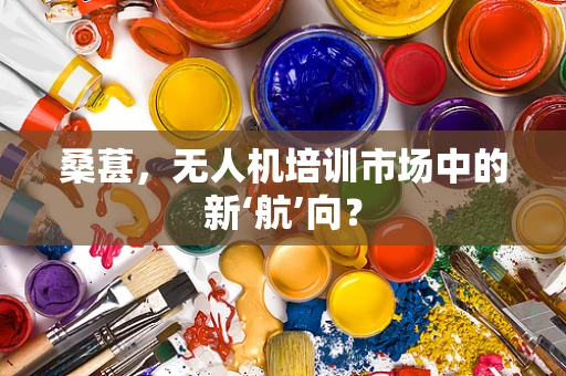 桑葚，无人机培训市场中的新‘航’向？