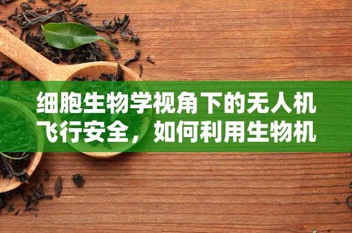 细胞生物学视角下的无人机飞行安全，如何利用生物机制提升无人机自主导航能力？