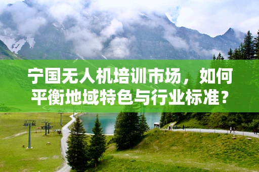 宁国无人机培训市场，如何平衡地域特色与行业标准？