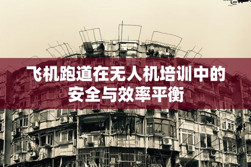 飞机跑道在无人机培训中的安全与效率平衡