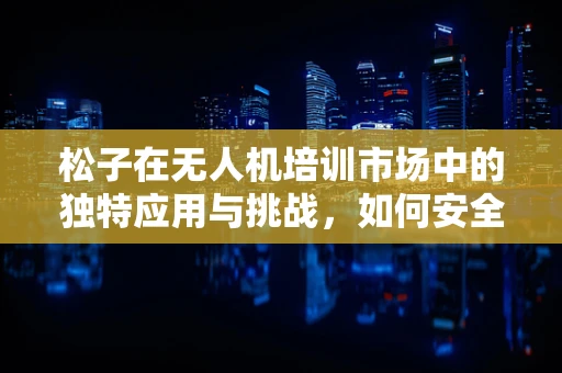 松子在无人机培训市场中的独特应用与挑战，如何安全融入教学？