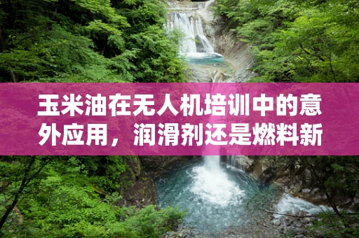 玉米油在无人机培训中的意外应用，润滑剂还是燃料新选择？