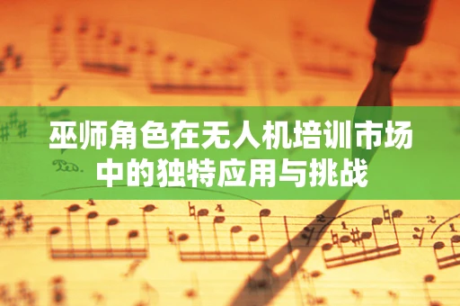 巫师角色在无人机培训市场中的独特应用与挑战