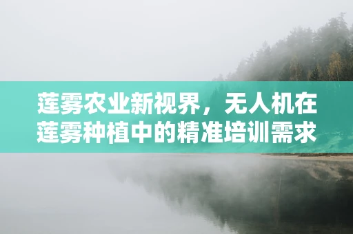 莲雾农业新视界，无人机在莲雾种植中的精准培训需求