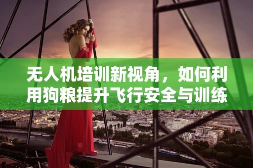 无人机培训新视角，如何利用狗粮提升飞行安全与训练效率？