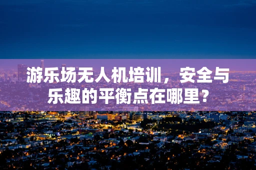 游乐场无人机培训，安全与乐趣的平衡点在哪里？