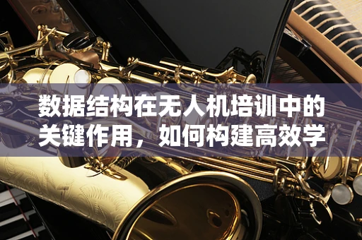 数据结构在无人机培训中的关键作用，如何构建高效学习路径？