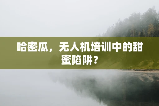 哈密瓜，无人机培训中的甜蜜陷阱？