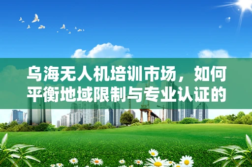 乌海无人机培训市场，如何平衡地域限制与专业认证的挑战？