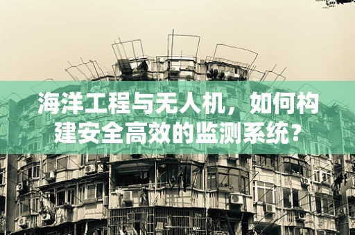 海洋工程与无人机，如何构建安全高效的监测系统？