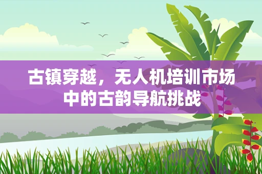 古镇穿越，无人机培训市场中的古韵导航挑战