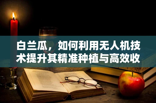 白兰瓜，如何利用无人机技术提升其精准种植与高效收获？