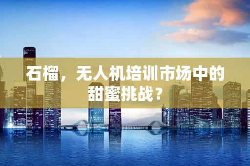 石榴，无人机培训市场中的甜蜜挑战？