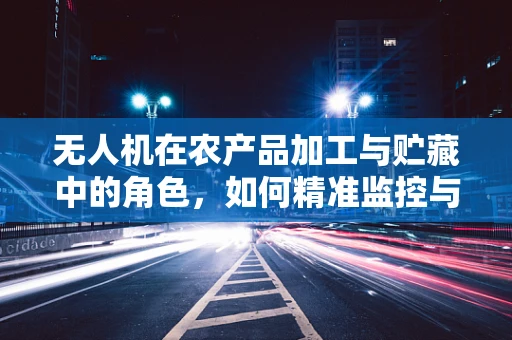 无人机在农产品加工与贮藏中的角色，如何精准监控与高效管理？