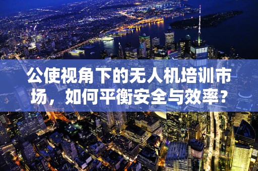 公使视角下的无人机培训市场，如何平衡安全与效率？